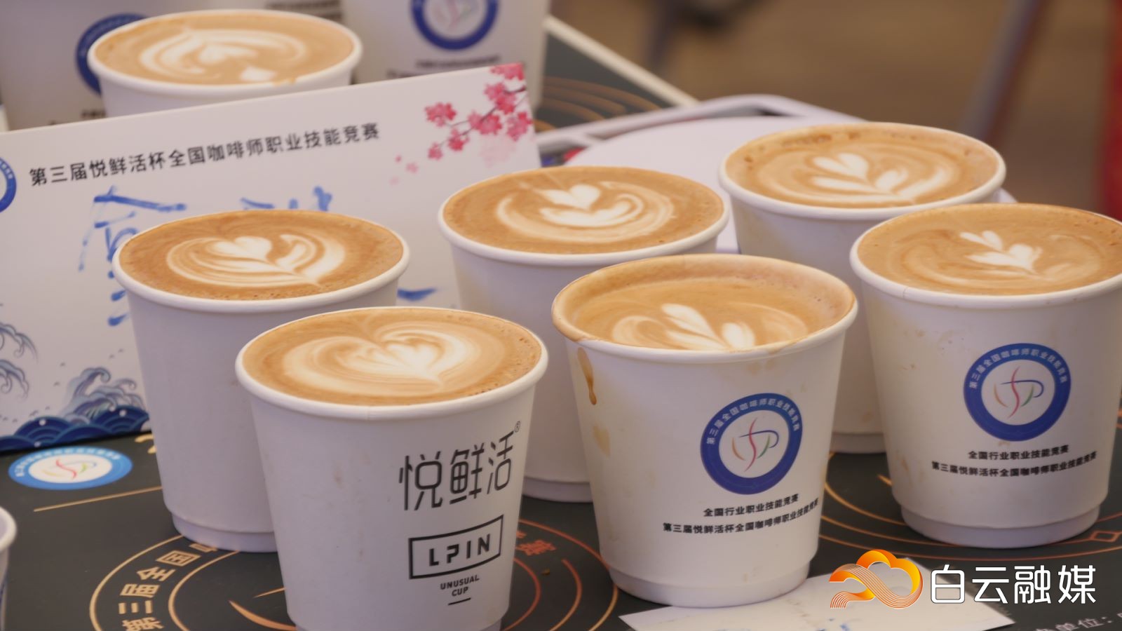 白云融媒：咖啡飄香，高手云集！這場國家級賽事在白云開賽（轉載）